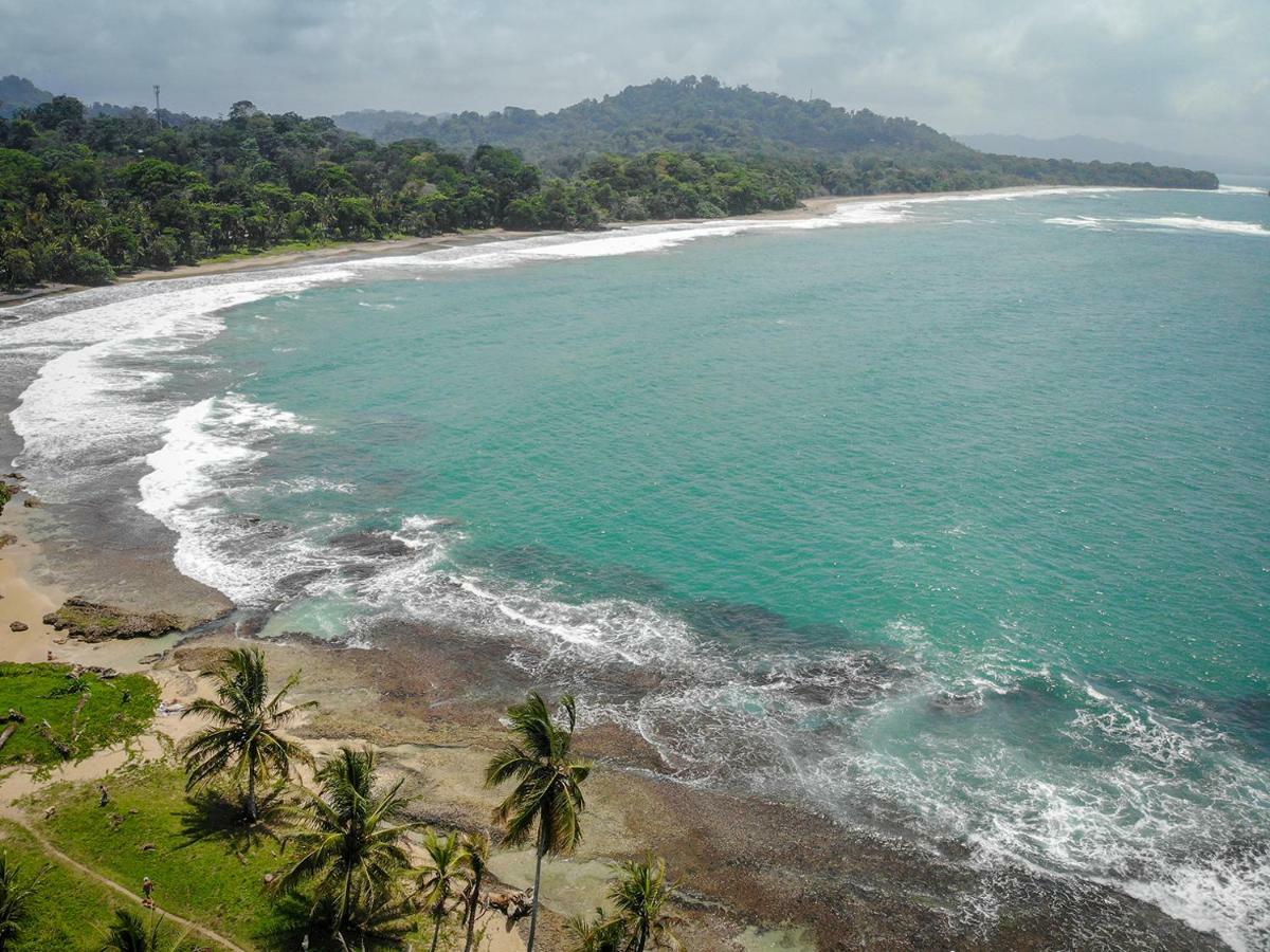 Puerto Viejo de Talamanca La Tica Y La Gata酒店 外观 照片