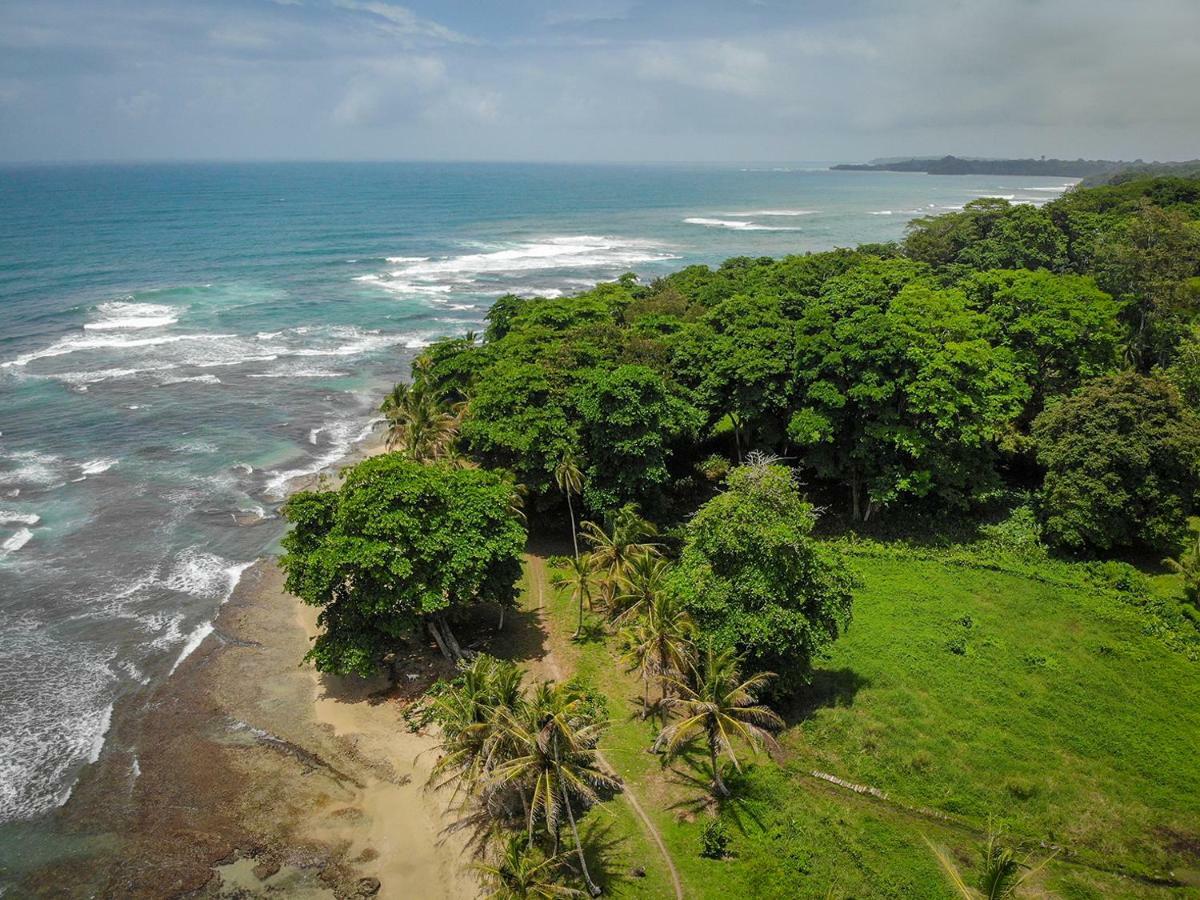 Puerto Viejo de Talamanca La Tica Y La Gata酒店 外观 照片